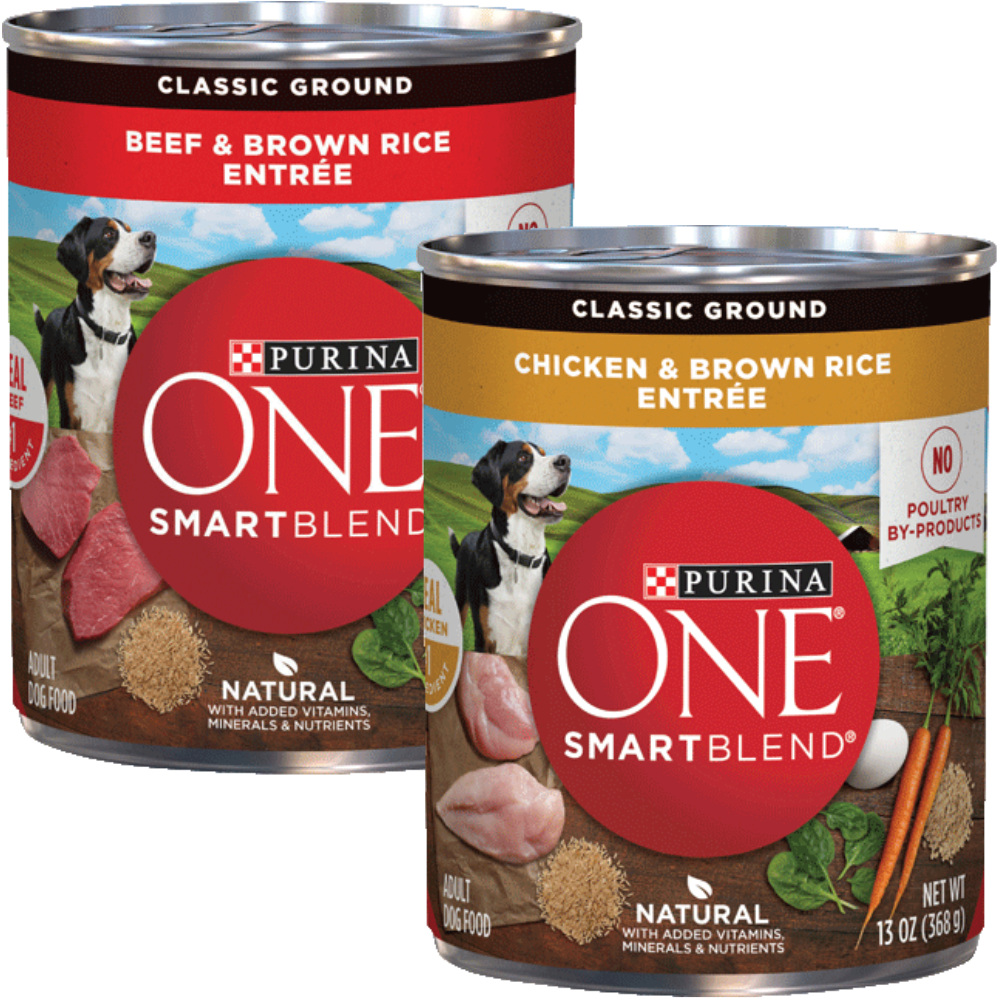 Purina One Wet Dog Food