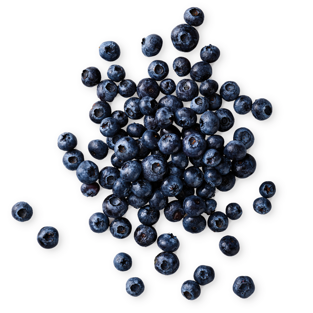 18 oz Blueberries