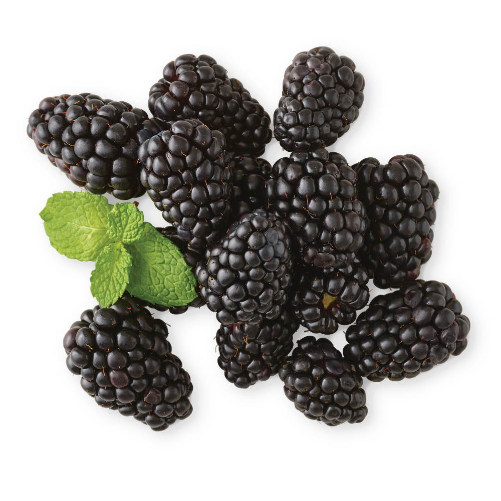 Blackberries