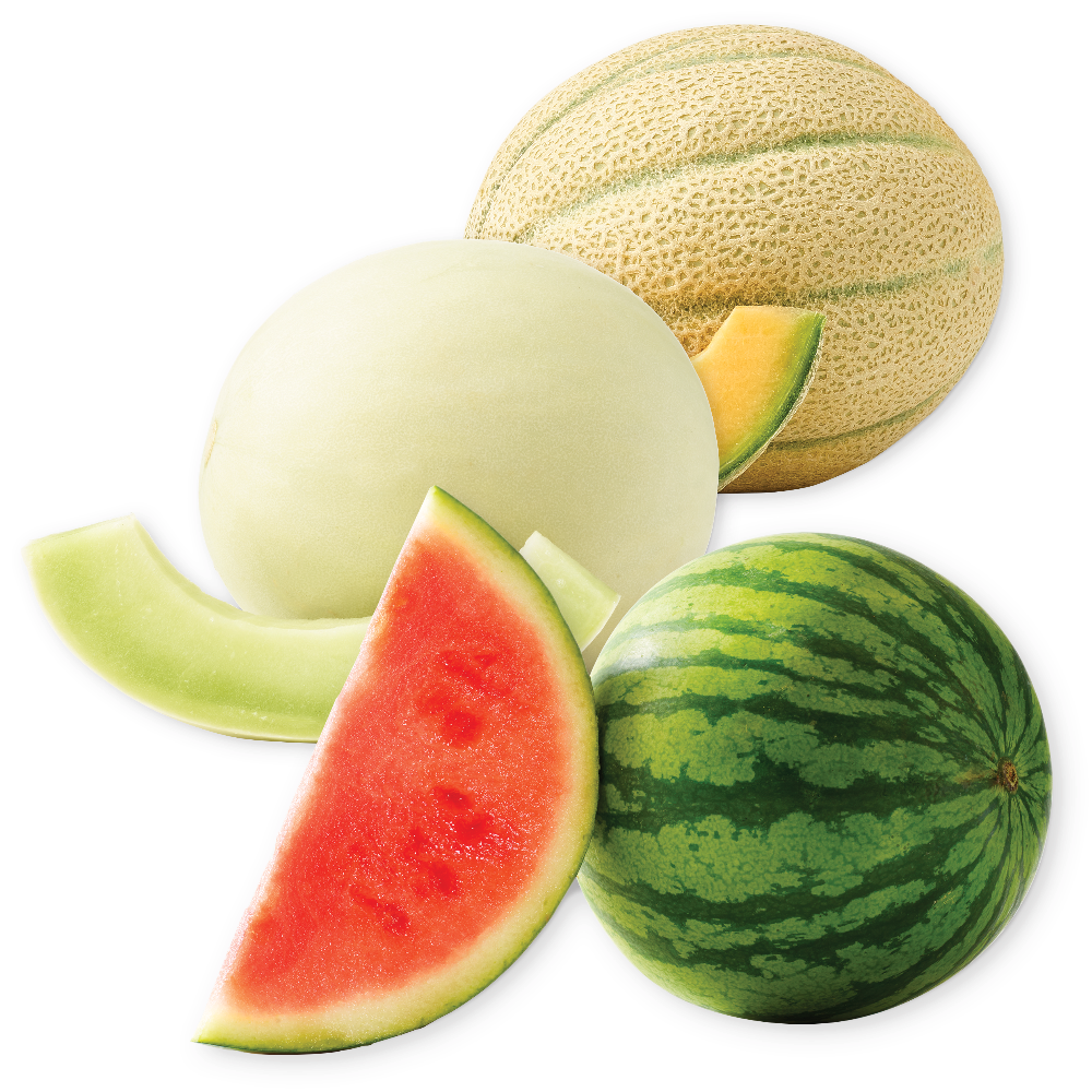 Personal Watermelon, Tuscan Cantaloupe or Honeydew Melon