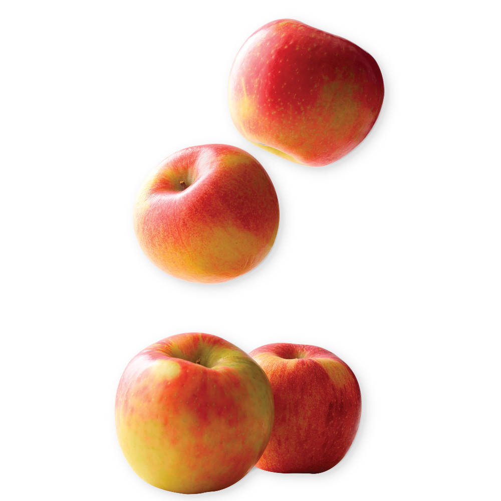 Honeycrisp or Envy Apples