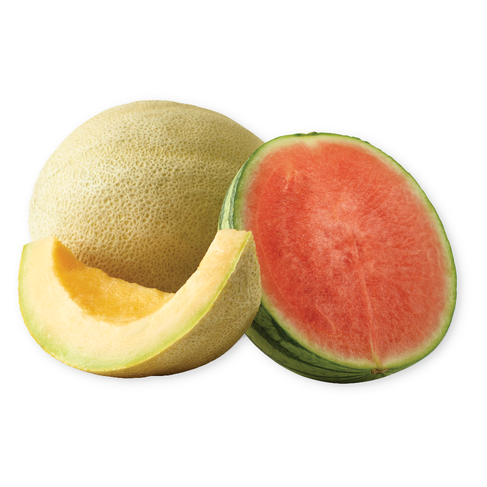 Personal Watermelon or Cantaloupe
