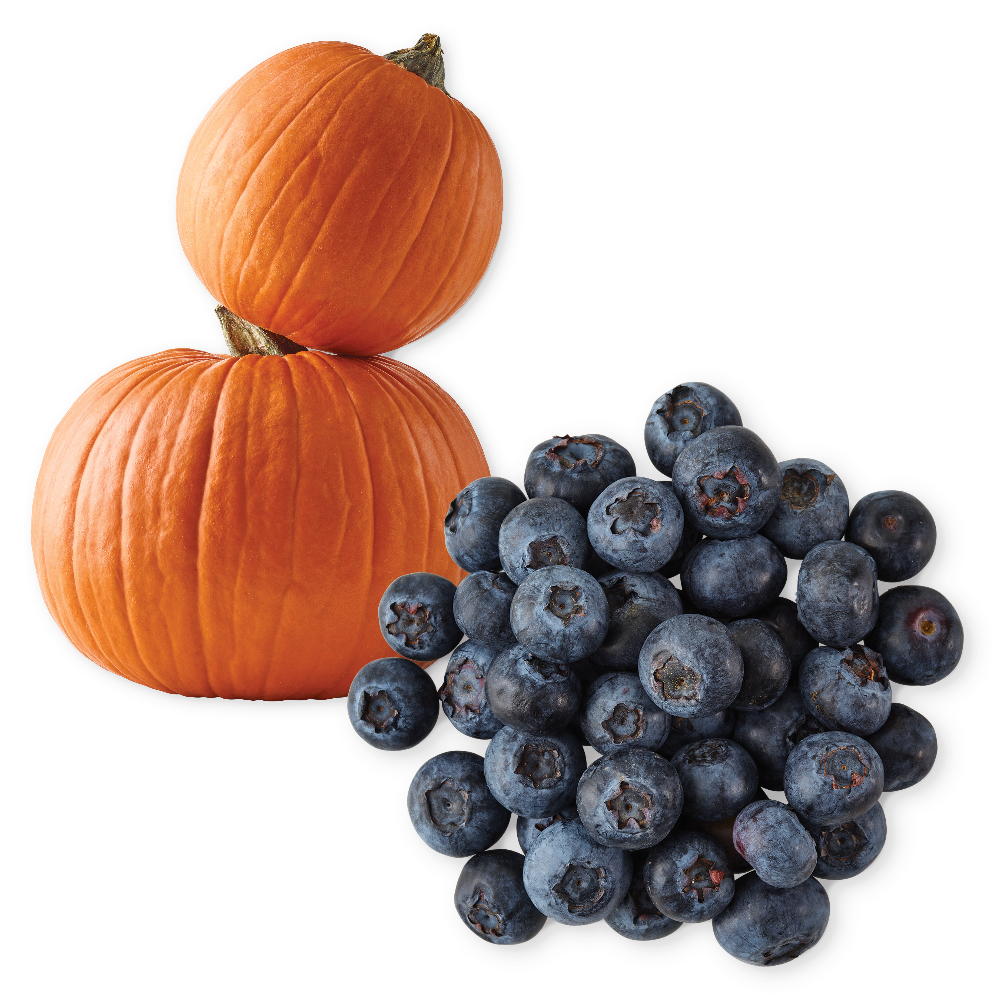 Jumbo Blueberries