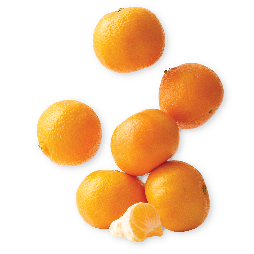 Halos Seedless Mandarins