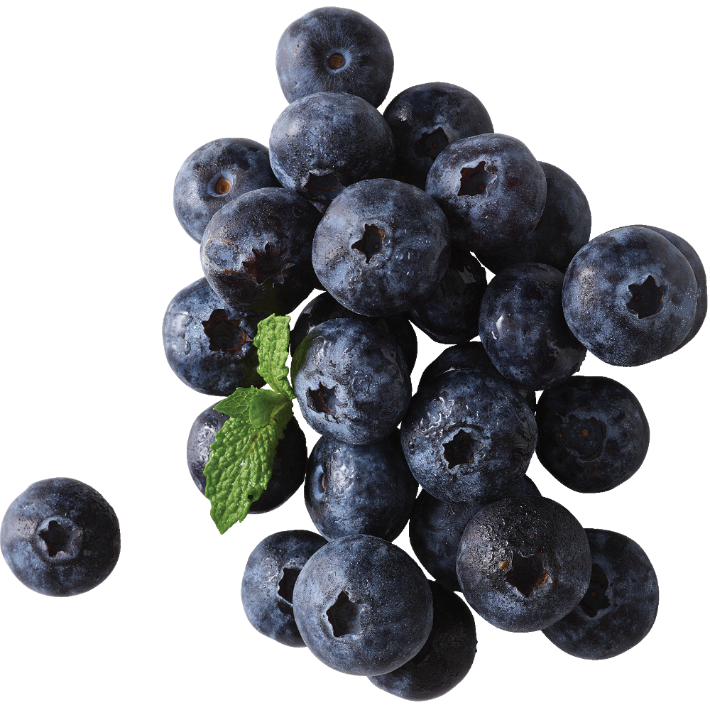 18 oz Blueberries