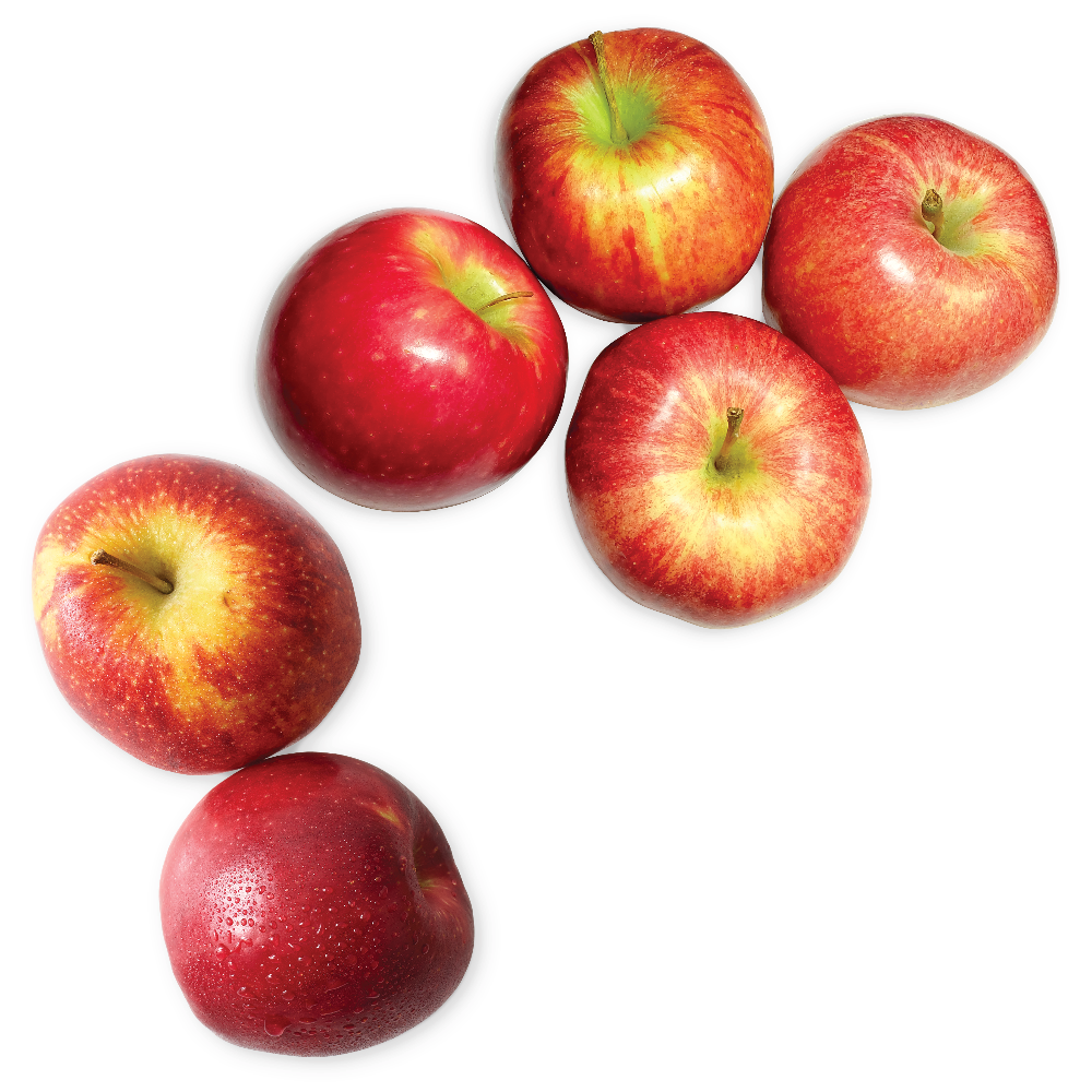 Cosmic Crisp, McIntosh or Envy Apples