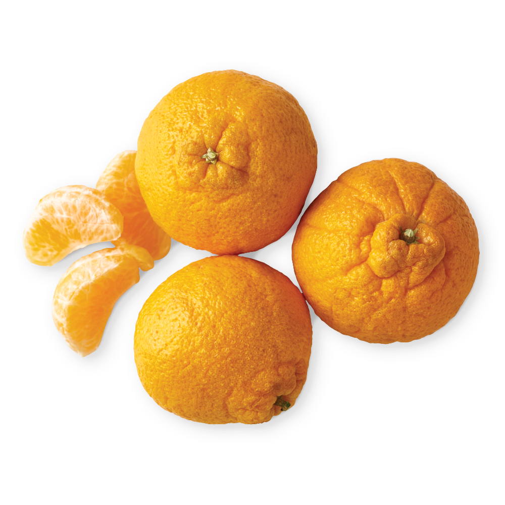Sumo Citrus Mandarins