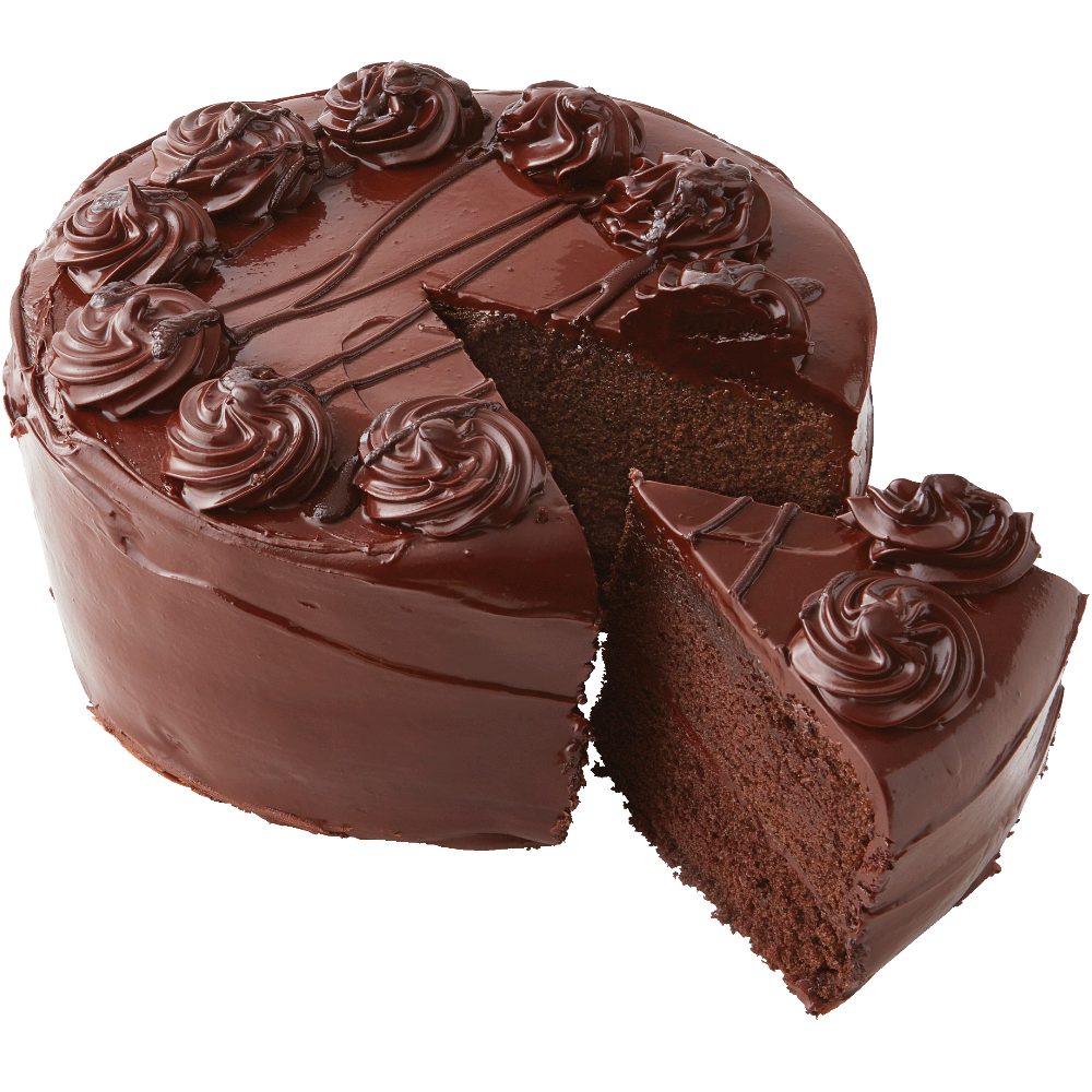 Chocolate Fudge Iced Double Layer Cake