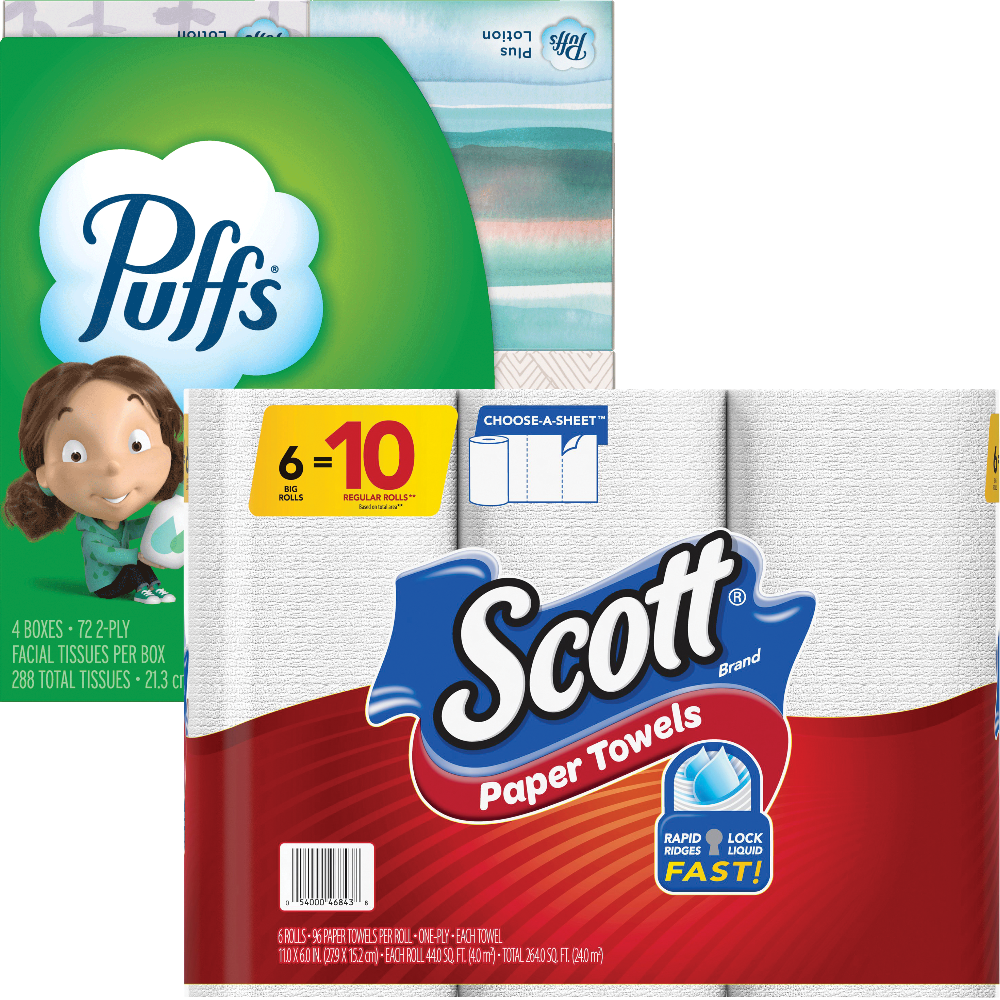 Scott Paper Towels
