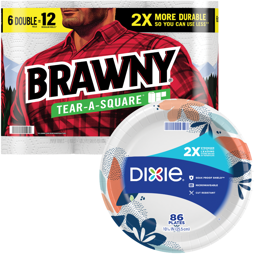 Dixie Disposable Plates