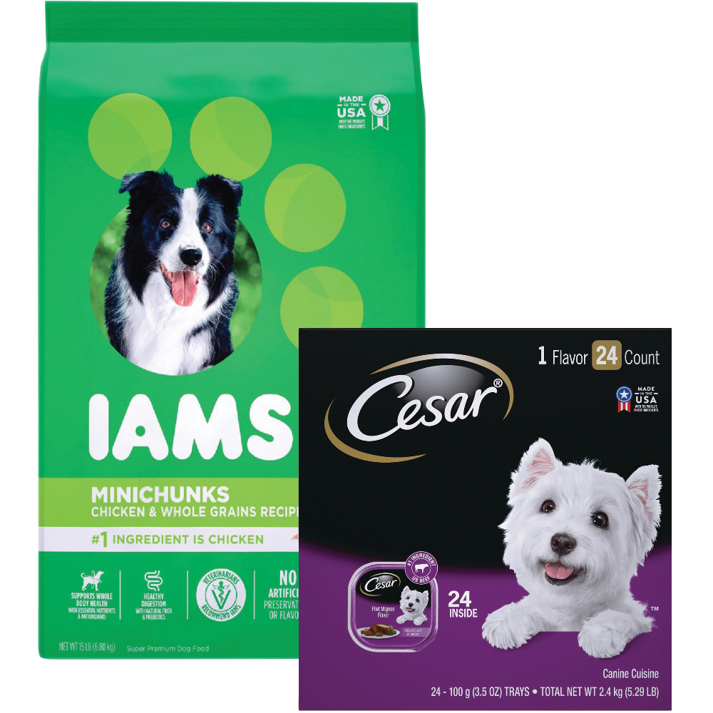 Iams Dry Dog Food