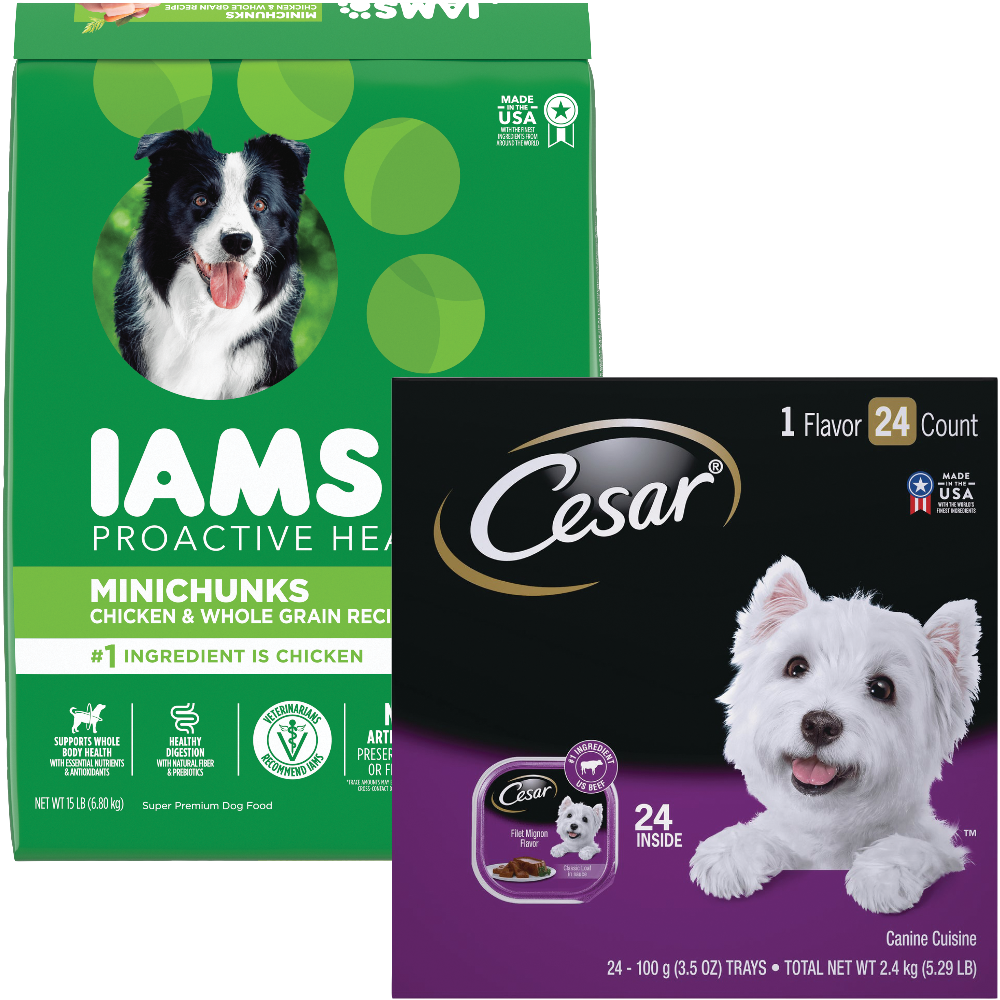 Iams Dry Dog Food