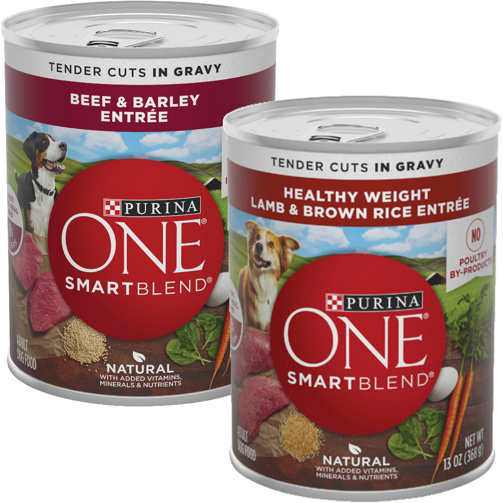 Purina One True Instinct Wet Dog Food