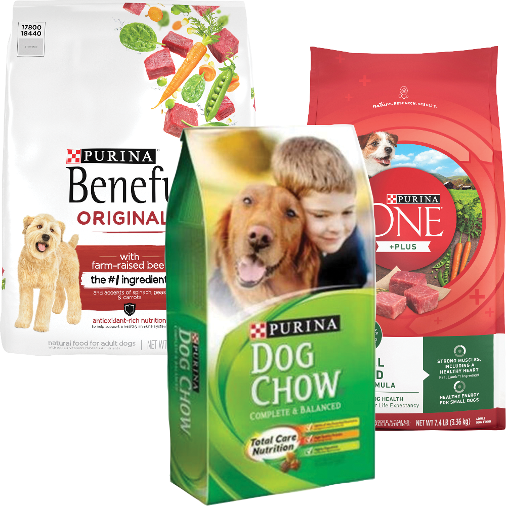 Purina One Dog Chow