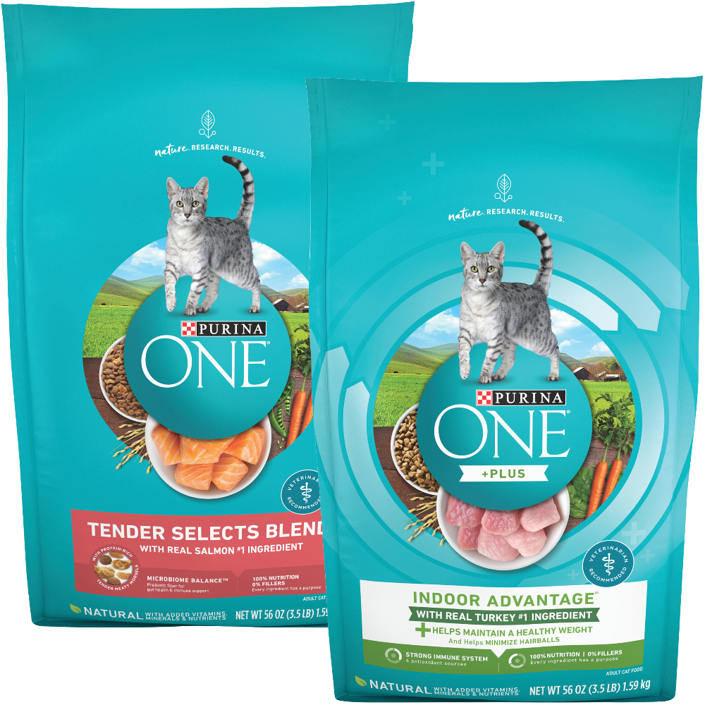 Purina One Dry Cat Food
