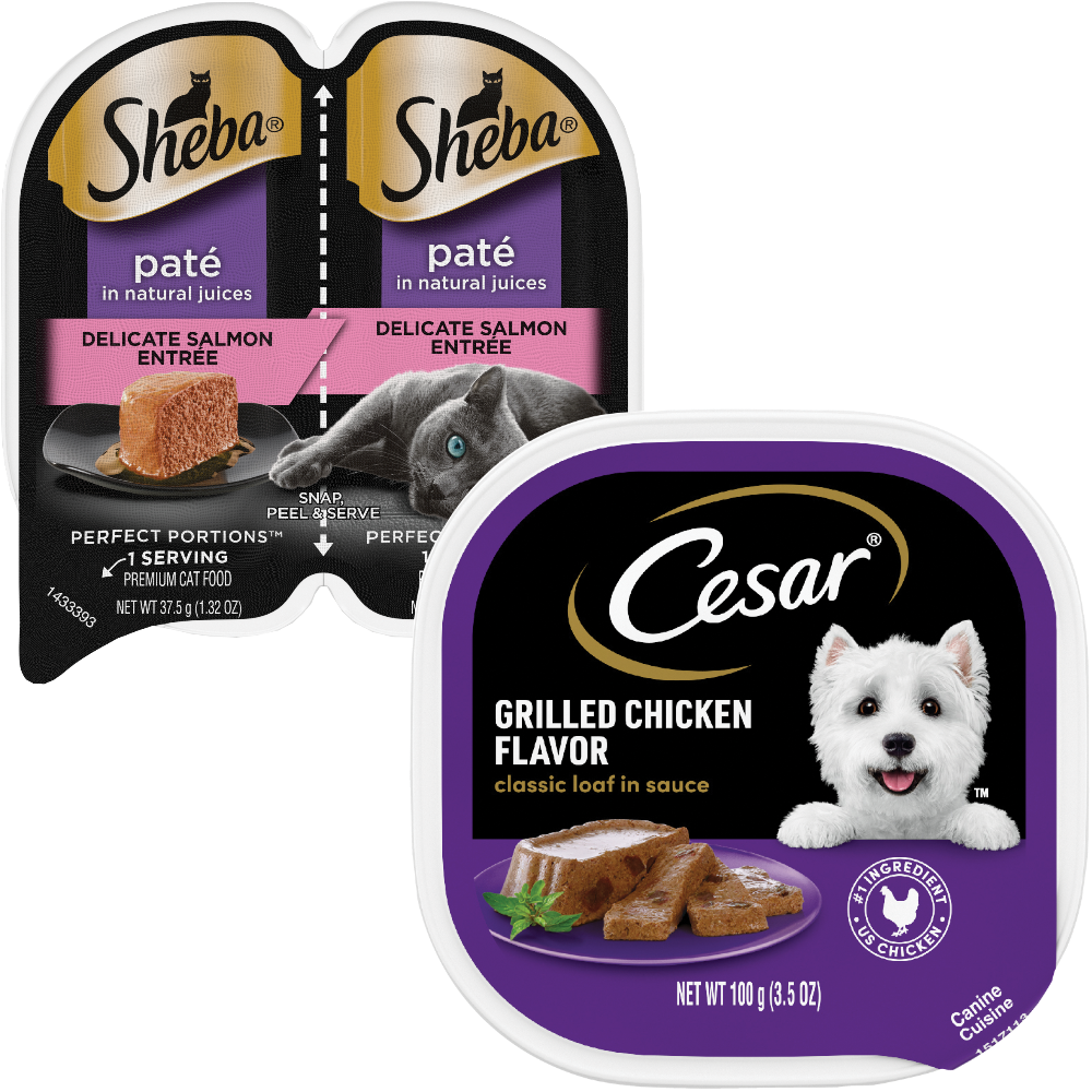 Cesar Wet Dog Food