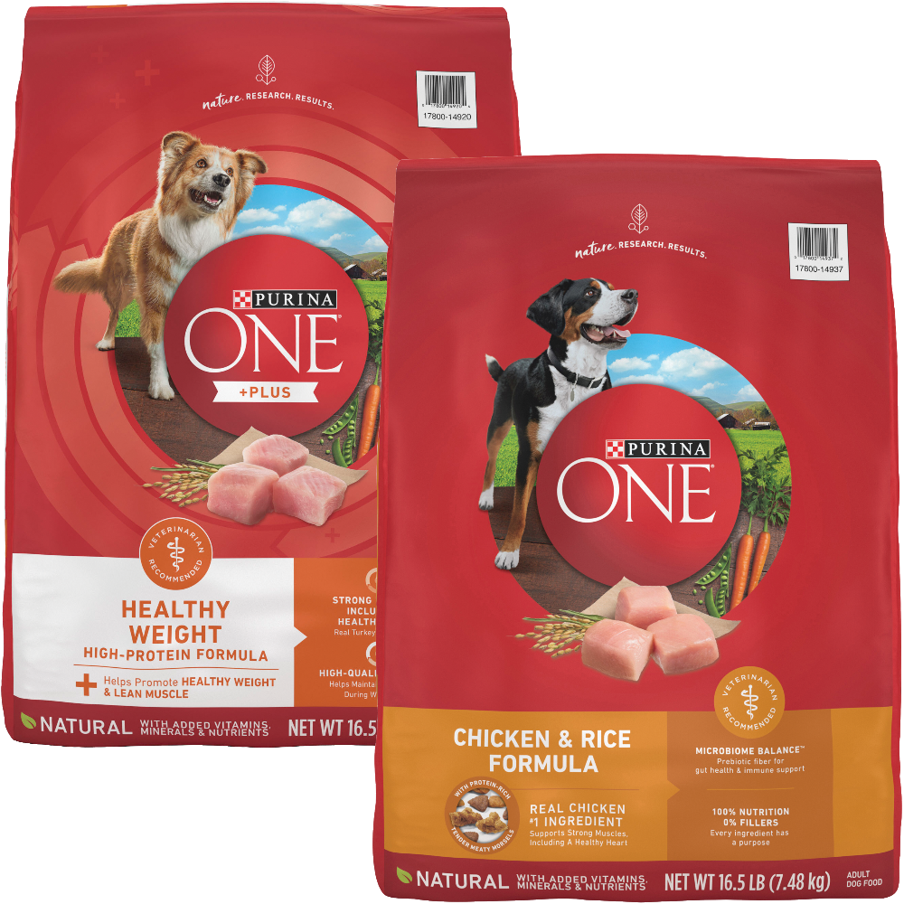 Purina One or Purina One Plus Dry Dog Food