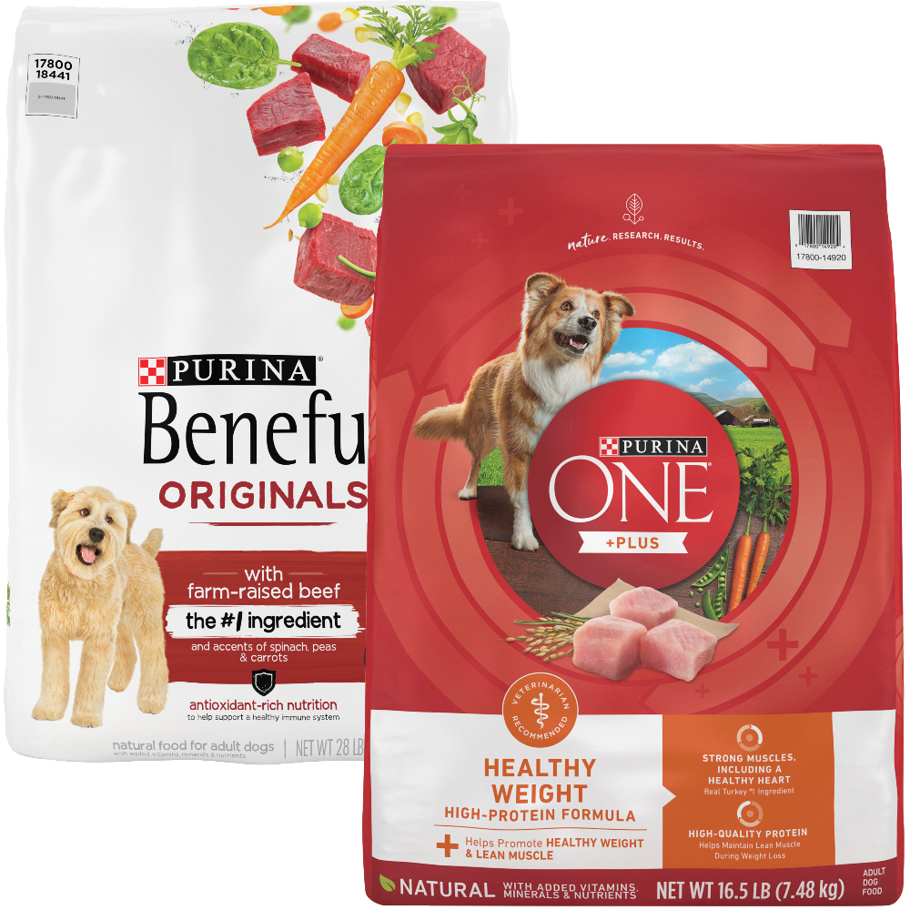 Purina One Dry Dog Food